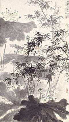 小沫ル采集到♔_夏荷之美