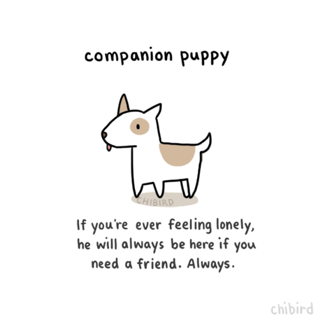 A little companion p...