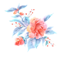 粉色手绘水彩牡丹花花卉元素