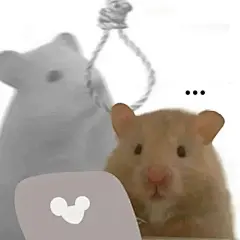 表情包-小红书搜索