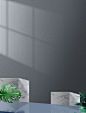 4164326052.png