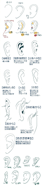 来自绘师：Amagi_Yoshihito的耳朵画法