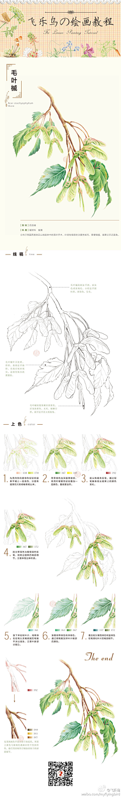 o丶镌镌兒采集到色铅笔手绘教程