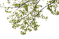 JZ_149