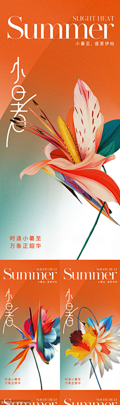 太阳花花孩子采集到画
