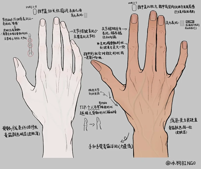 两种男性手的不同画法 - 小红书