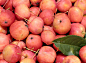 苹果,农作物,水平画幅,水果,无人,小吃,红色,彩色图片,清新