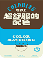 配色直接抄｜世界上超舒服的配色参考！ - 小红书