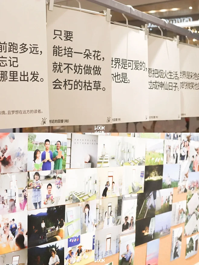 你可能需要这个展，治愈一下