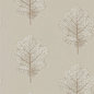 Sanderson - Traditional to contemporary, high quality designer fabrics and wallpapers | Products | British/UK Fabric and Wallpapers | Oak Filigree (DWOW215698) | Woodland Walk Wallpapers