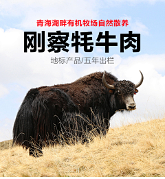 洁晴棒棒哒采集到肉