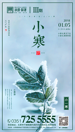 逻辑菌采集到小寒海报收集