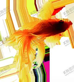 水墨墨迹鲤鱼 【酷图网】锦鲤,卡通鱼,手绘鱼,年年有余,年年有鱼,鼠年,鼠年插画,鼠年海报,海报鱼,鲤鱼,鲤鱼插画,手绘鲤鱼,卡通鲤鱼,年年有余图,年年有余挂画,鱼,年年有余画,年年有余背景,富贵有余,荷花鲤鱼,客厅挂画,国画荷花,荷花鱼竖版,年年有余玄关,九鱼图,荷花图,连年有余,鱼戏莲花图,鱼鱼得水,花开富贵,鱼图
