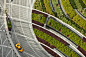 conceptLANDSCAPE