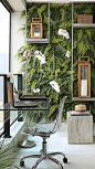 Varanda | Living Wall | Fresh Office: 