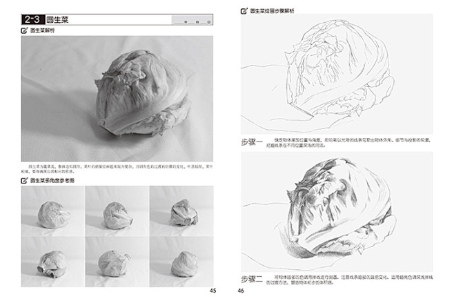 本案例摘自《素描标准练习册 静物篇》，人...