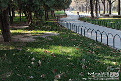 Toneyzhao采集到the temple of heaven，the heave