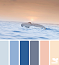 Design Seeds® | find your palette