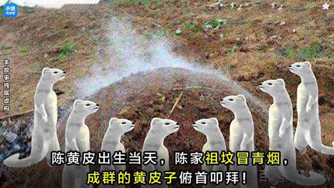 x_i_c7797ee7035f54ce...