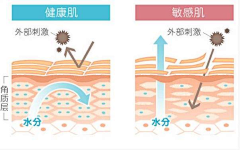 花瓣用户0号采集到MZ-（肌理层/肌肤）