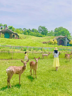 🌸沙沙沙🌸采集到亲子系列