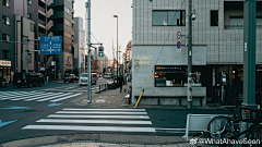 籽骨采集到场景