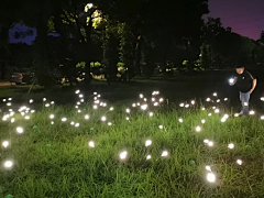 MXWJY采集到景观照明