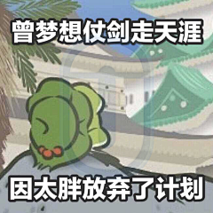 四季豆阿采集到脂由你营养代餐饼干