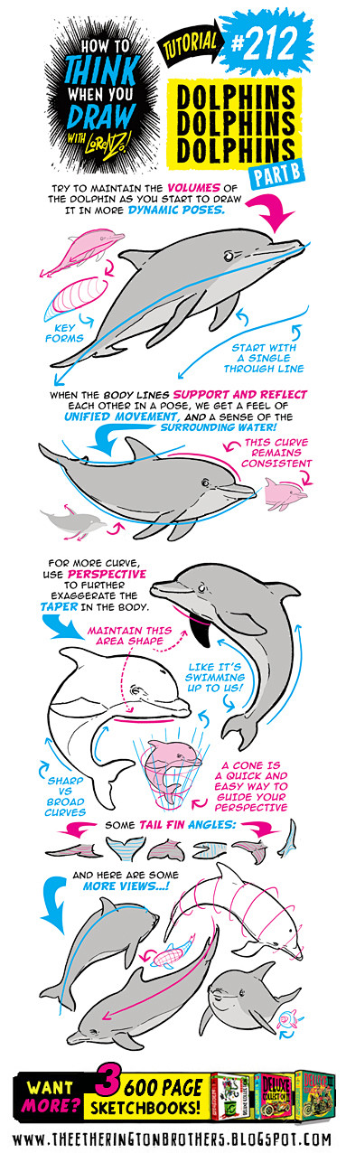 212 如何画海豚 dolphins-2