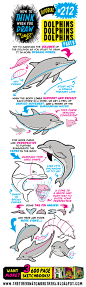 212 如何画海豚 dolphins-2