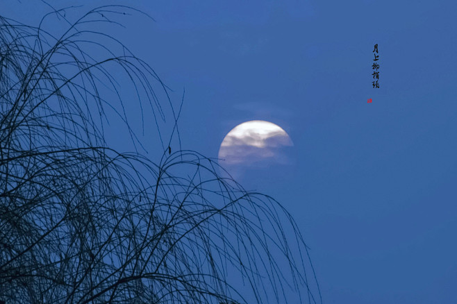 月上柳梢头