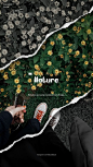 其中包括图片：nature