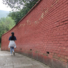 淡淡丫采集到走过路过错过