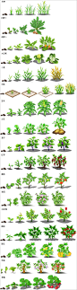 QQ农场 0-10级作物成长过程的图-腾牛网