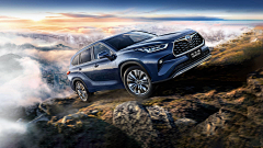 喵出没采集到丰田