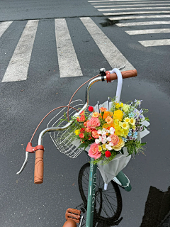 淡小定不淡定采集到花卉摄影图