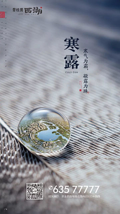 探索者666采集到白露