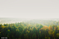 VCG41N1369356608