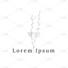 分支用树叶。矢量标签模板与简单的手绘花卉图标。