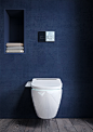 Bathroom Design Product Rendering 2016 : 2016 Product Toilet Rendering made for Aquabath Design