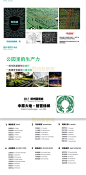 城市中心公园绿地景观园林规划设计绿化方案设计投标文本