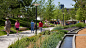 Myriad Botanical Gardens | OJB Landscape Architecture : A key component in Oklahoma City’s Project 180 public works program, the renovation of Myriad Botanical Gardens has transformed 15 quiet, underutilized acres of open space into a highly programmed ur
