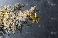 雪,杉树,冰,枝,灰色背景,手电筒,寒冷,照明设备,灰色