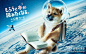 日本的全国通用图书卡有个柴犬的系列海报，标语是“得到后会更想读书”，每年春夏秋冬都会更新，是真的很想读书了啊！