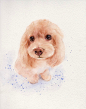 20140530235140_4SG2z