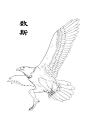 山海經-數斯：西南三百八十里，曰皋塗之山，薔水出焉，西流注于諸資之水，塗水出焉，南流注于集獲之水。有鳥焉，其狀如鴟而人足，名曰數斯，食之已癭。