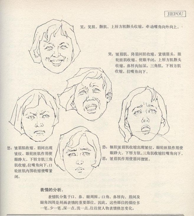 好书推荐《人体造型基础》 沈兆荣 编著 ...