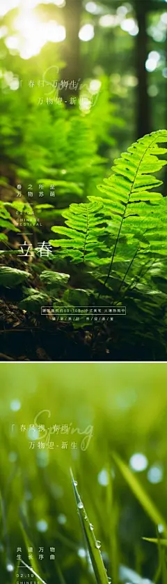 立春雨水节气系列海报