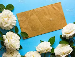 白色玫瑰花和纸卡孤立在蓝色。平放俯视图。