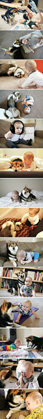孫玅：太有表情啦，这就是我理想的家庭模式养只狗狗陪宝宝长大 //@易鸿223:太好玩了 养一个//@娜晓样儿-颐朵: 真可爱的一对